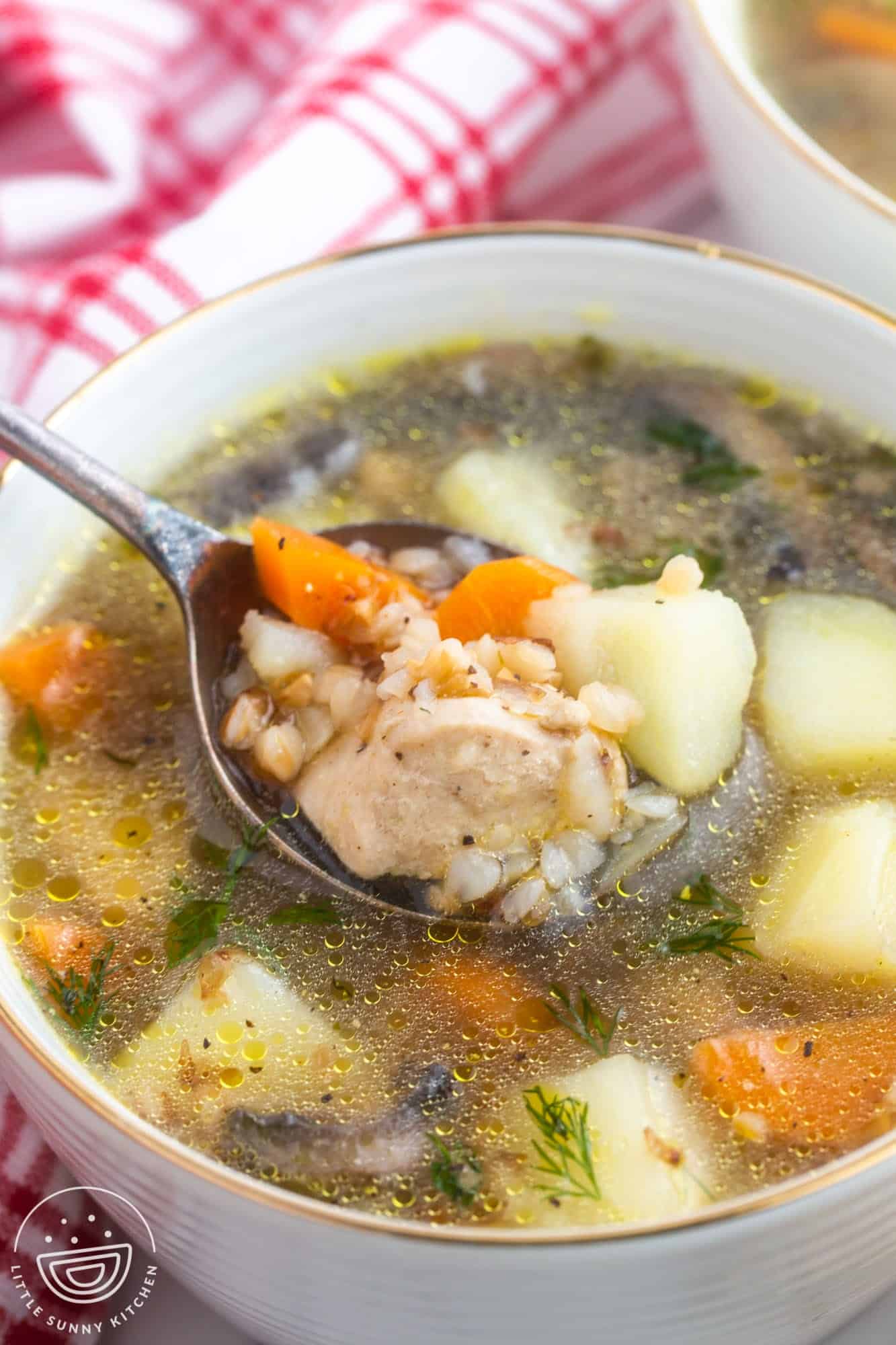 A spoonful of buckwheat soup with chicken, potatoes, and carrot.