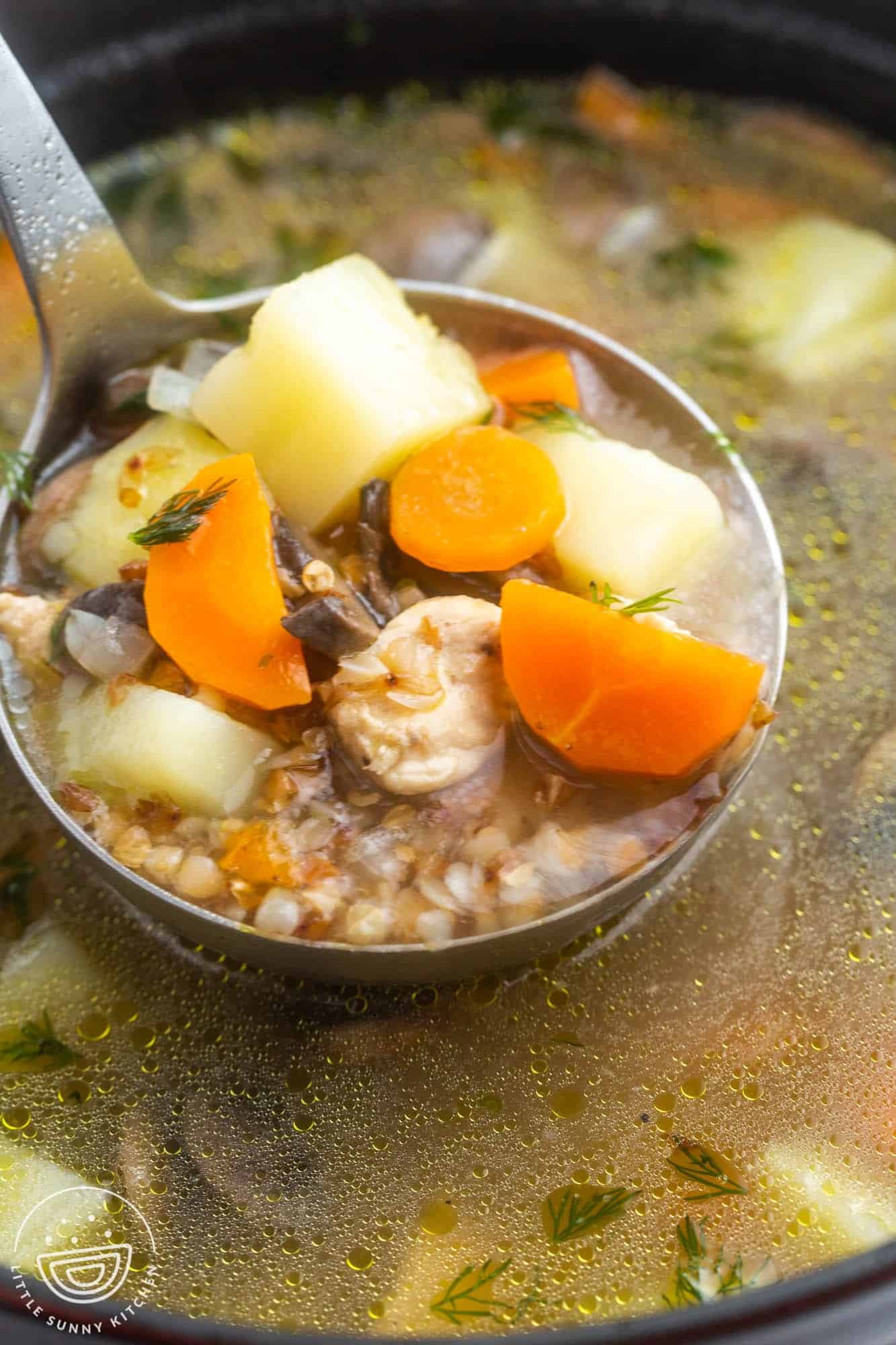 A soup ladle with buckwheat soup, potatoes, chicken,carrots.