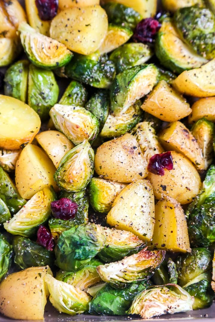 A close up shot of roasted brussels sprouts with potatoes and cranberries