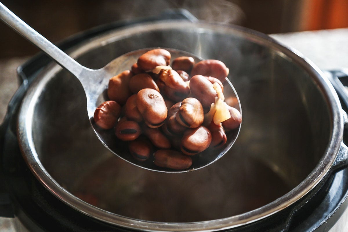 Cooked broad beans that were cooked in the Instant Pot