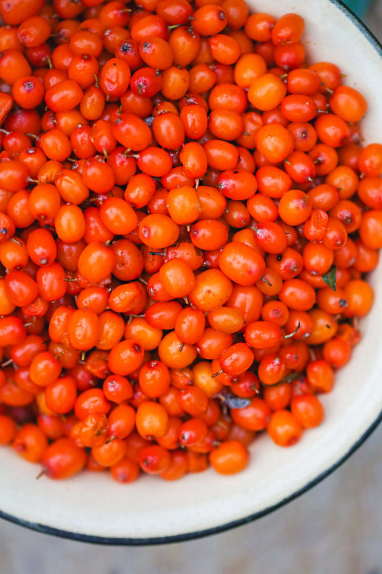 Sea Buckthorn Benefits & Juice Recipe Little Sunny Kitchen