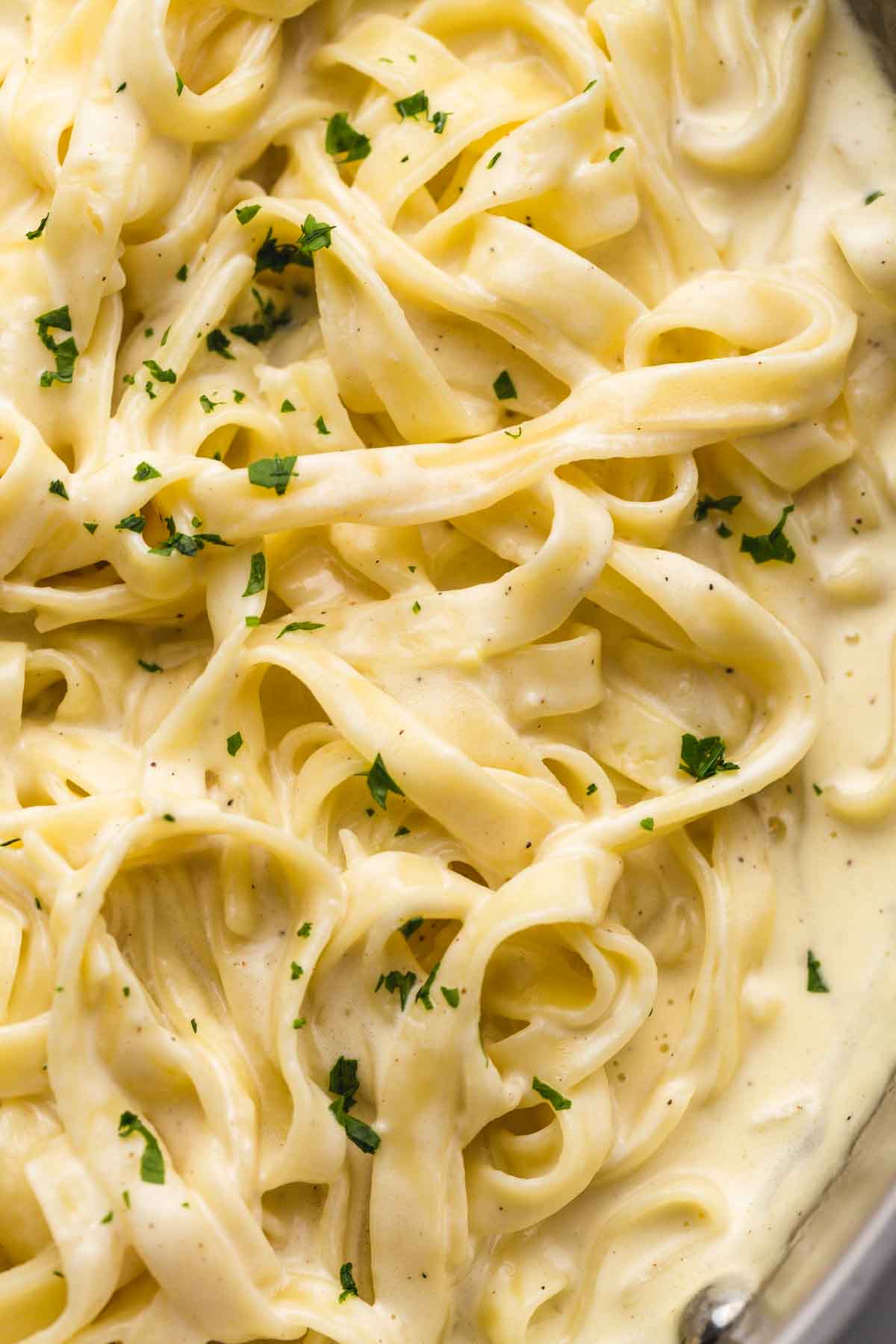 Close up of fettuccine pasta in rich and creamy alfredo sauce