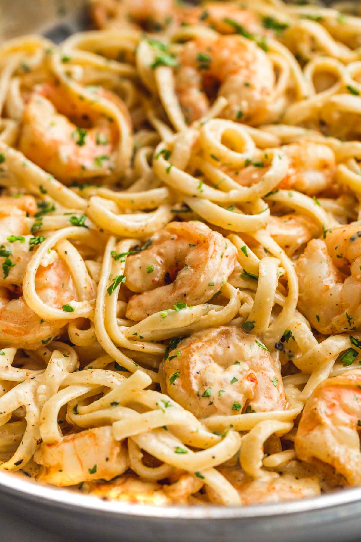 Butter garlic shrimp tossed in creamy rich sauce and pasta, a close up shot.