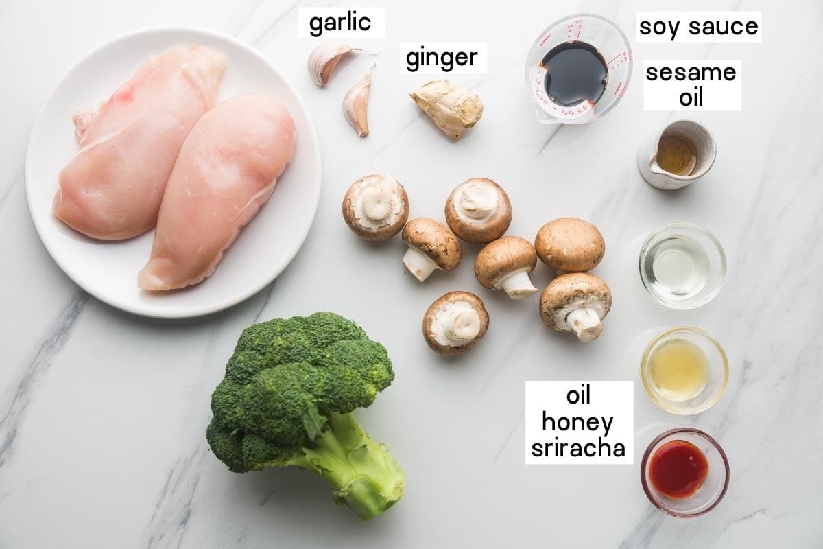 Chicken and broccoli ingredients