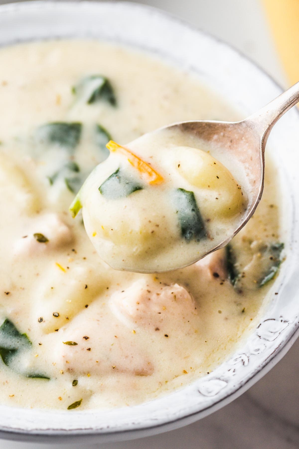 A close up of spoonful of chicken gnocchi soup