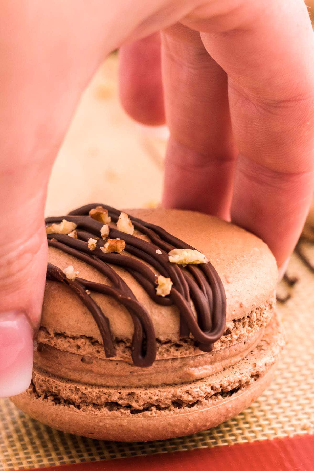 A hand holding a chocolate macaron, a close up picture