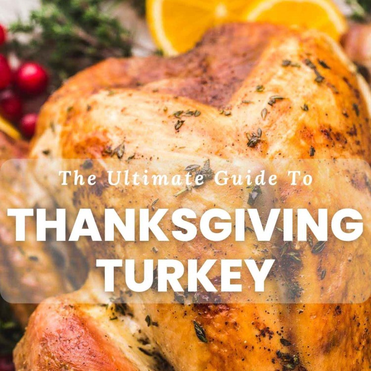 Close up of roasted turkey with text overlay "The Ultimate Guide to Thanksgiving Turkey"