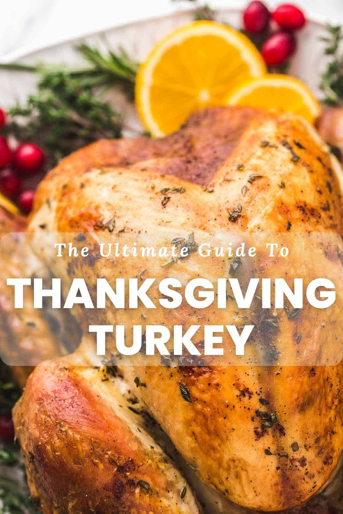 Close up of roasted turkey with text overlay "The Ultimate Guide to Thanksgiving Turkey"