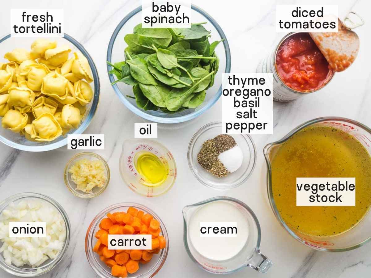 Ingredients needed to make tortellini soup