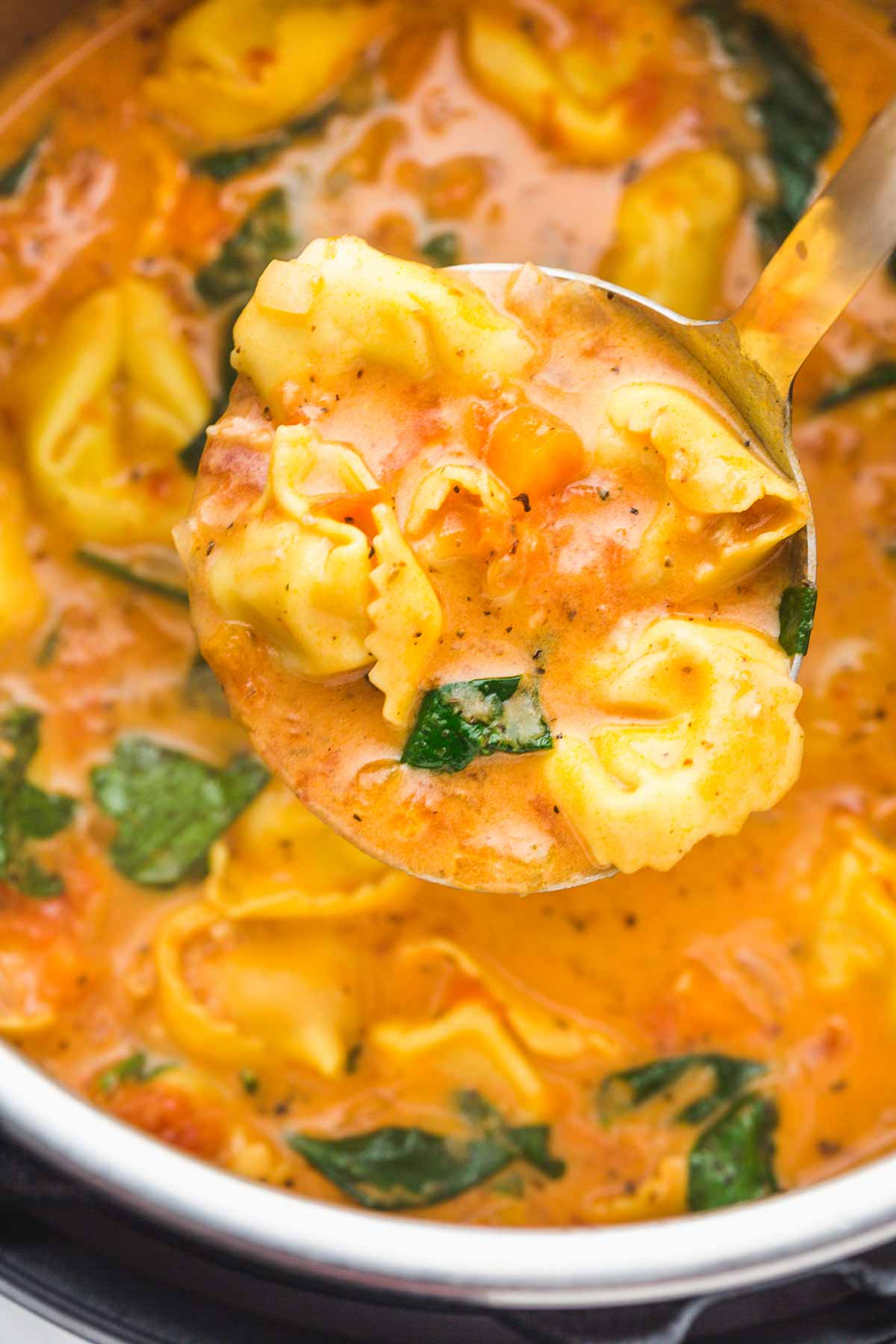 Tortellini soup in the Instant pot with a ladle