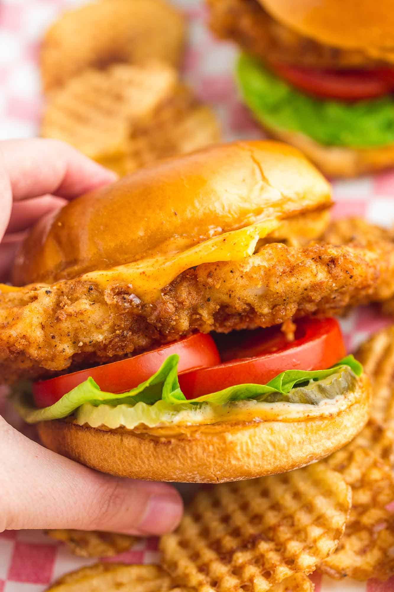 Holding a Chick-Fil-A homemade Sandwich, and waffle fries