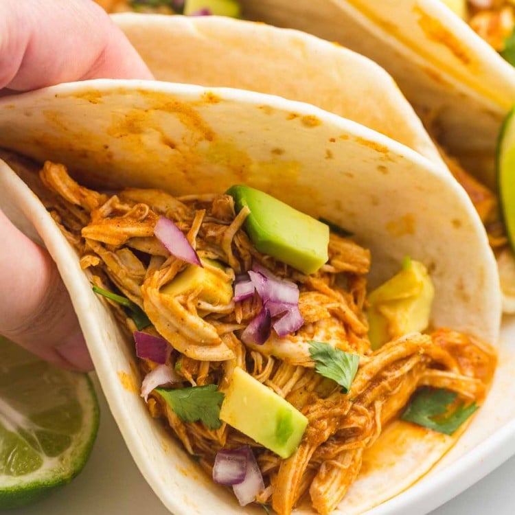 Holding a chicken tinga taco with fresh avocado and finely diced red onion