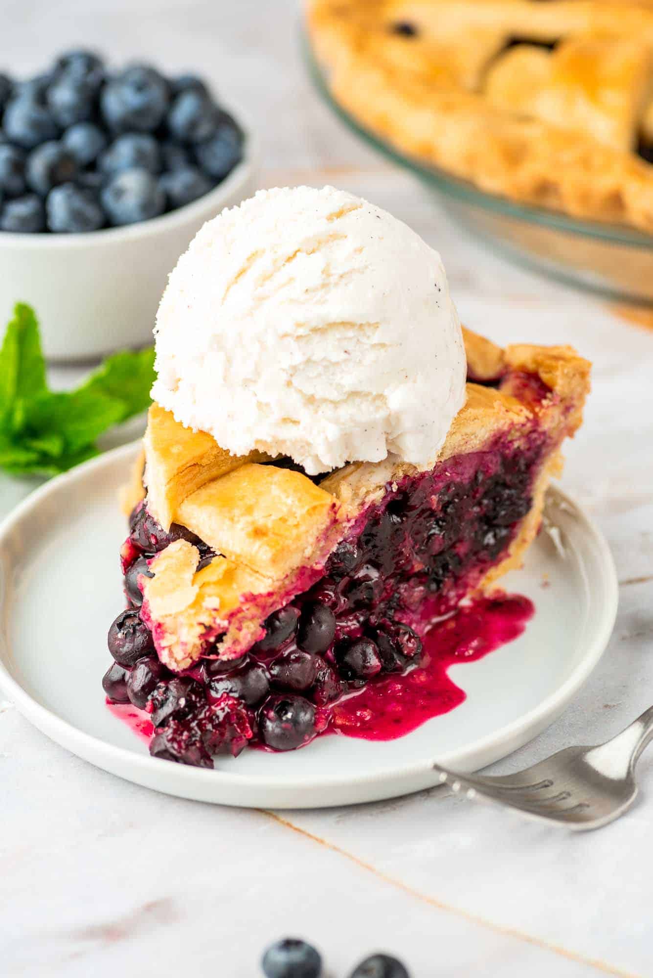 A slice of blueberry pie served on a small white plate with vanilla ice cream