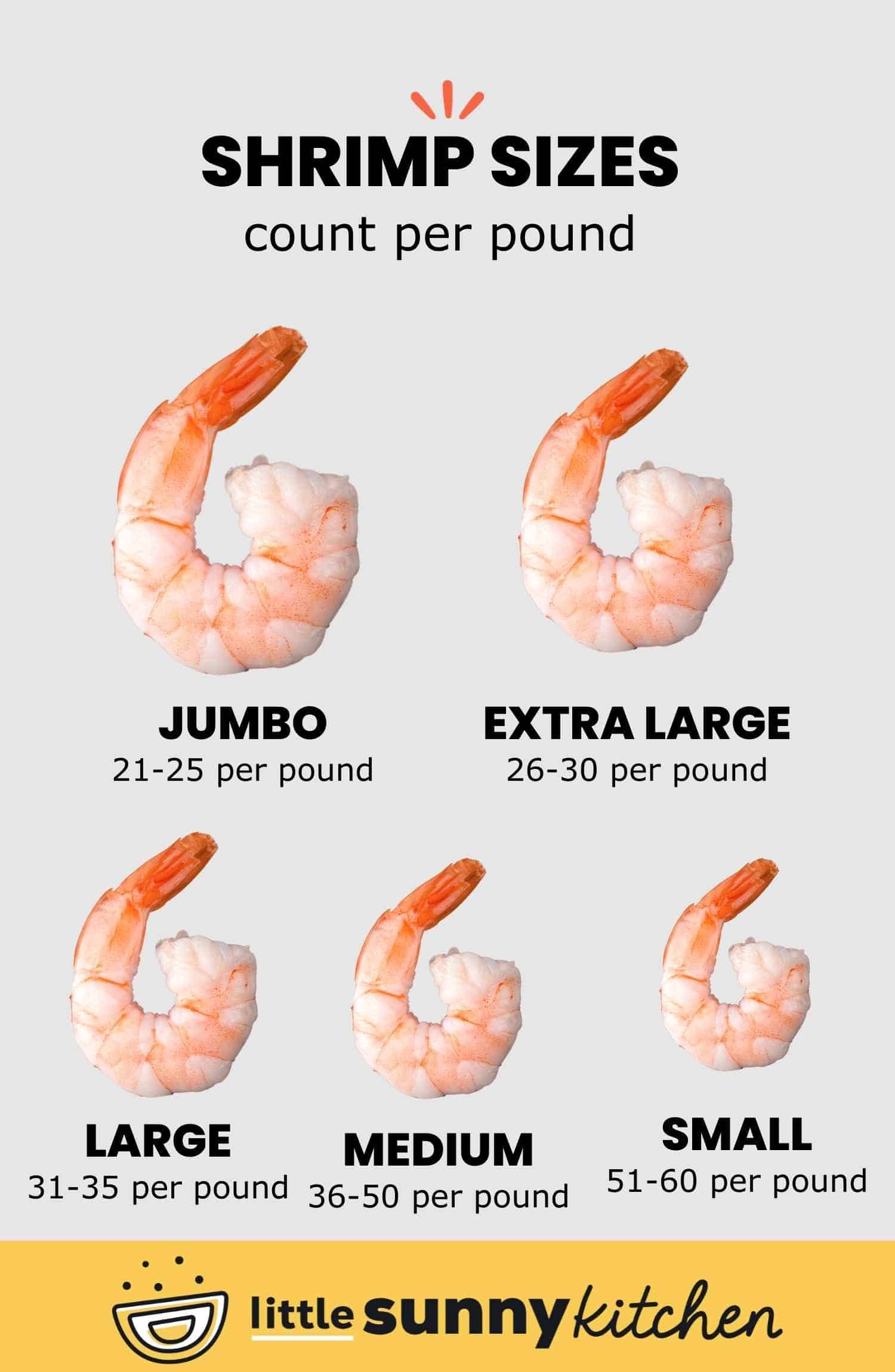 Shrimp Sizes (How Many Shrimp in a Pound) - TipBuzz