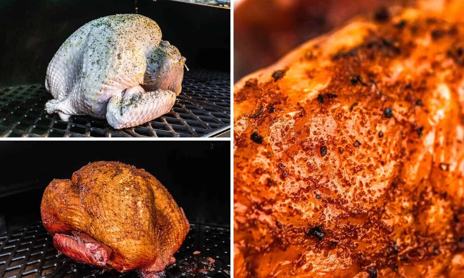 Succulent Smoked Turkey Recipe - 44