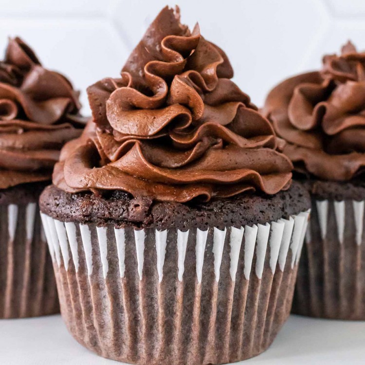 Chocolate cupcake with chocolate frosting
