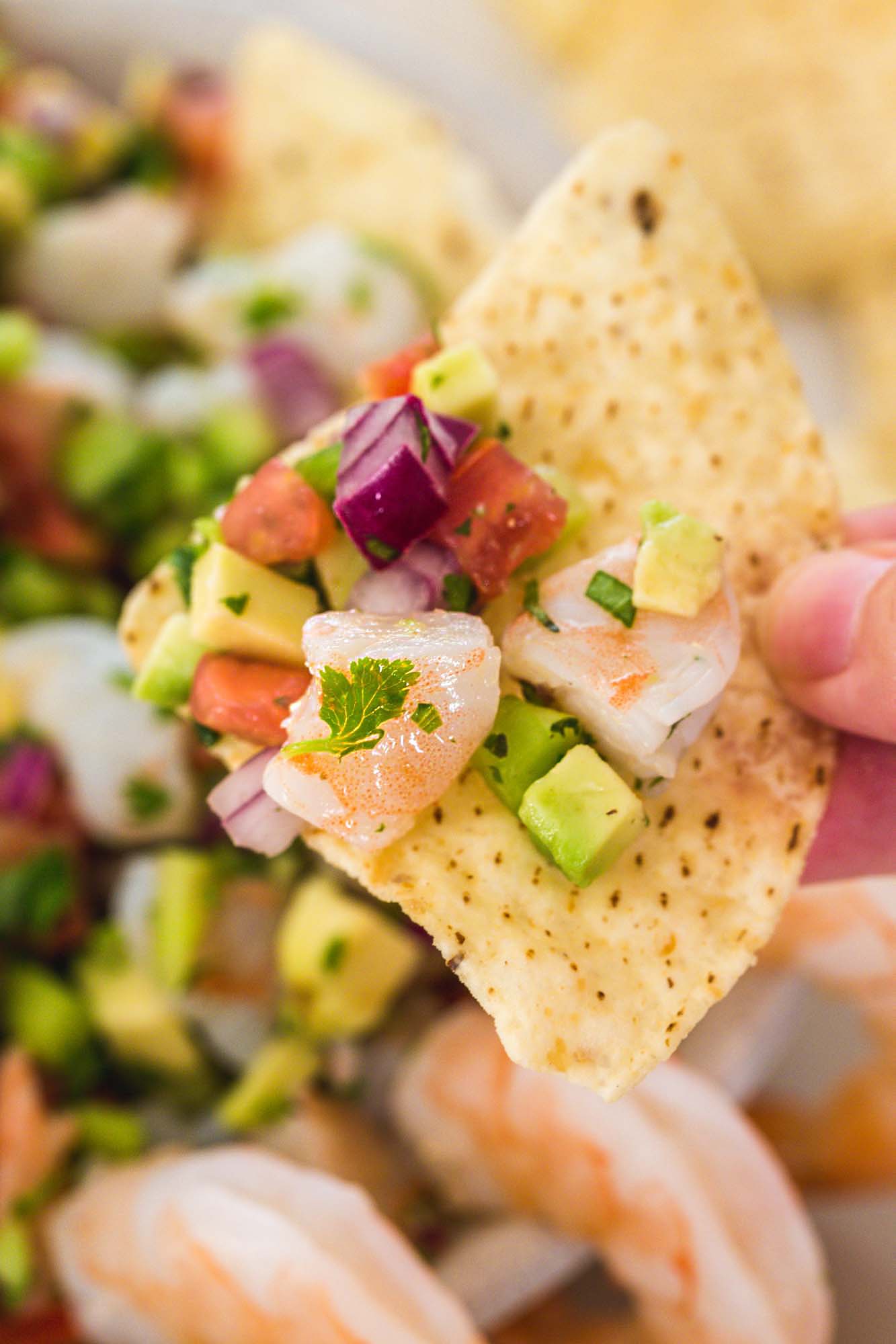 A close up shot of shrimp ceviche being enjoyed with a corn tortilla chip