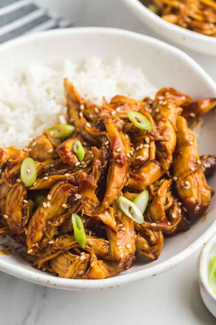 Slow Cooker Teriyaki Chicken (Extra Saucy!) Little Sunny Kitchen