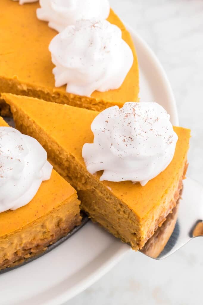 Taking a slice of pumpkin cheesecake with whipped cream
