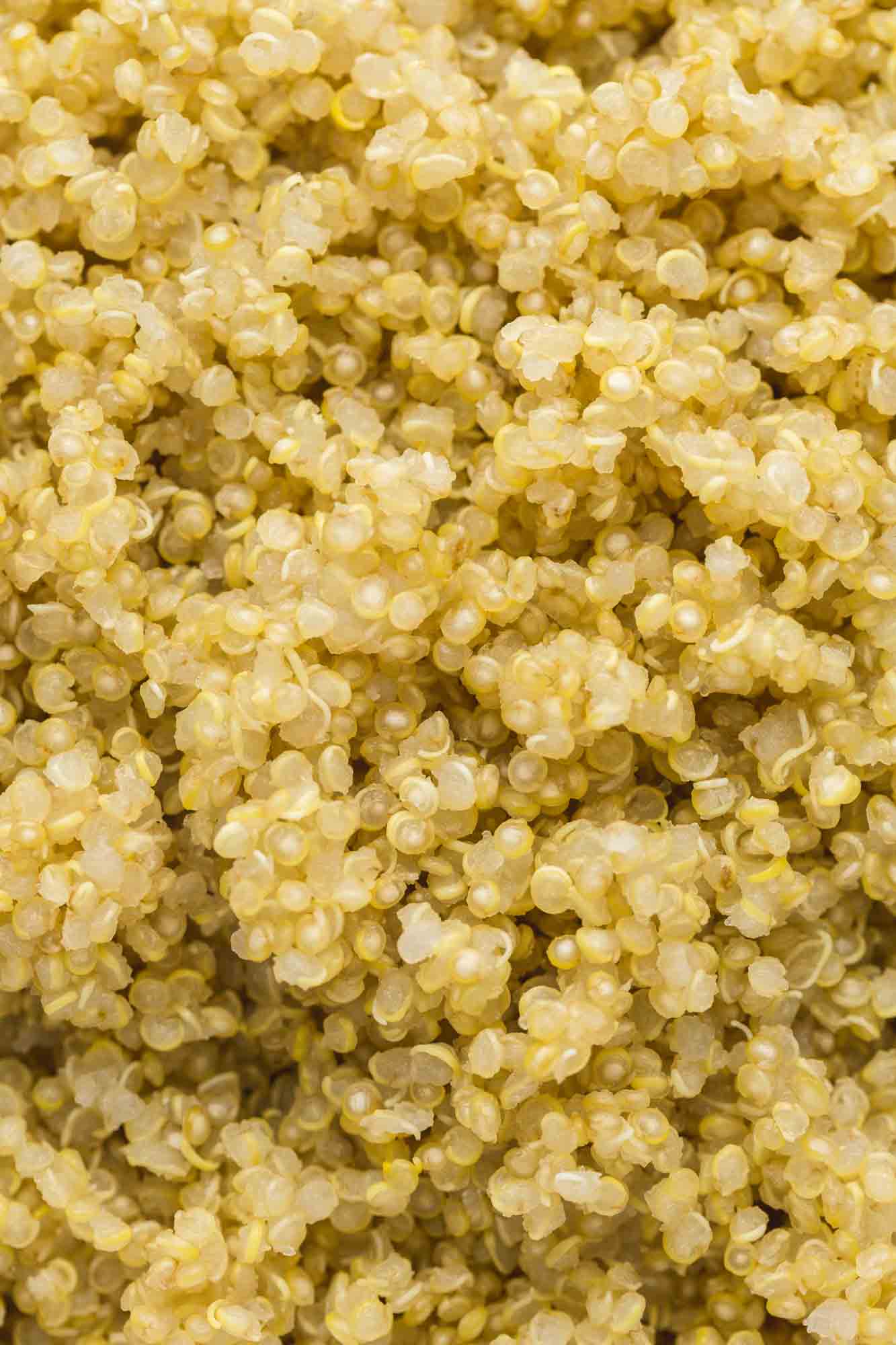 Close Up Shot of Cooked Quinoa