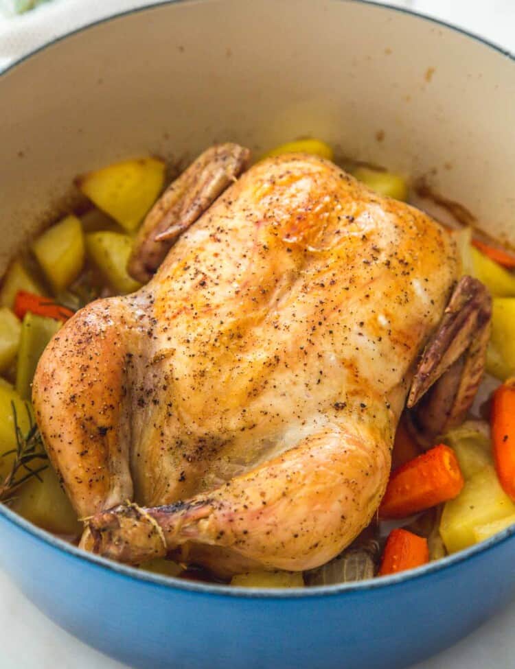 Whole roast chicken in a blue dutch oven over vegetables