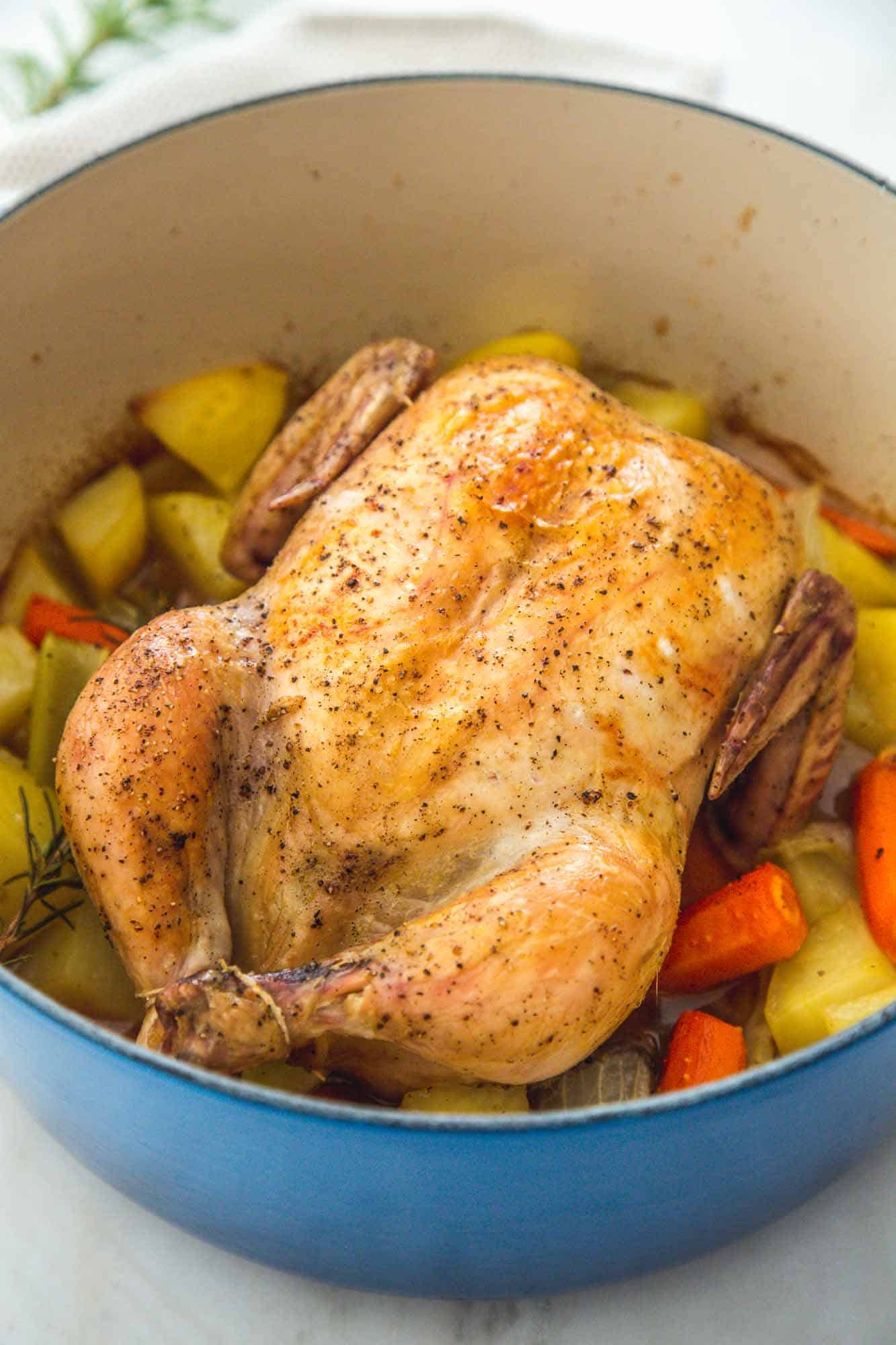 Whole roast chicken in a blue dutch oven over vegetables