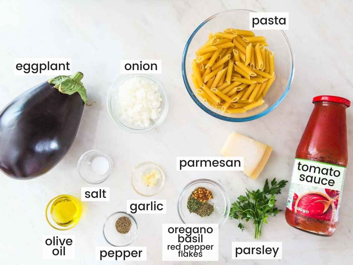 Ingredients needed to make eggplant pasta including pasta, eggplant, tomato sauce, onion, cheese, and seasonings.