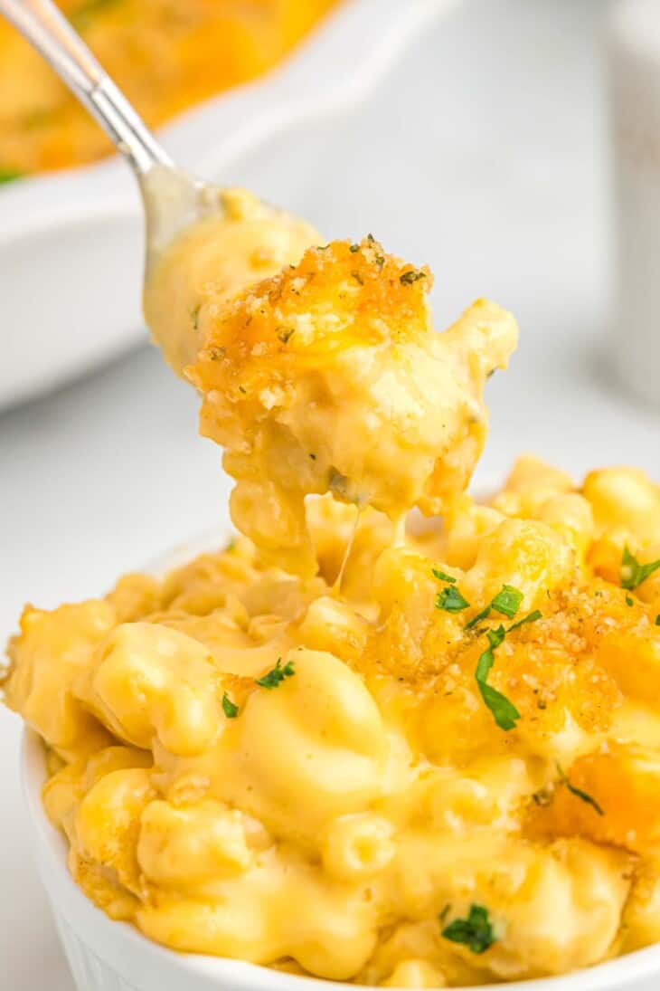 Creamy Velveeta Mac and Cheese (Easy Recipe!) - Little Sunny Kitchen