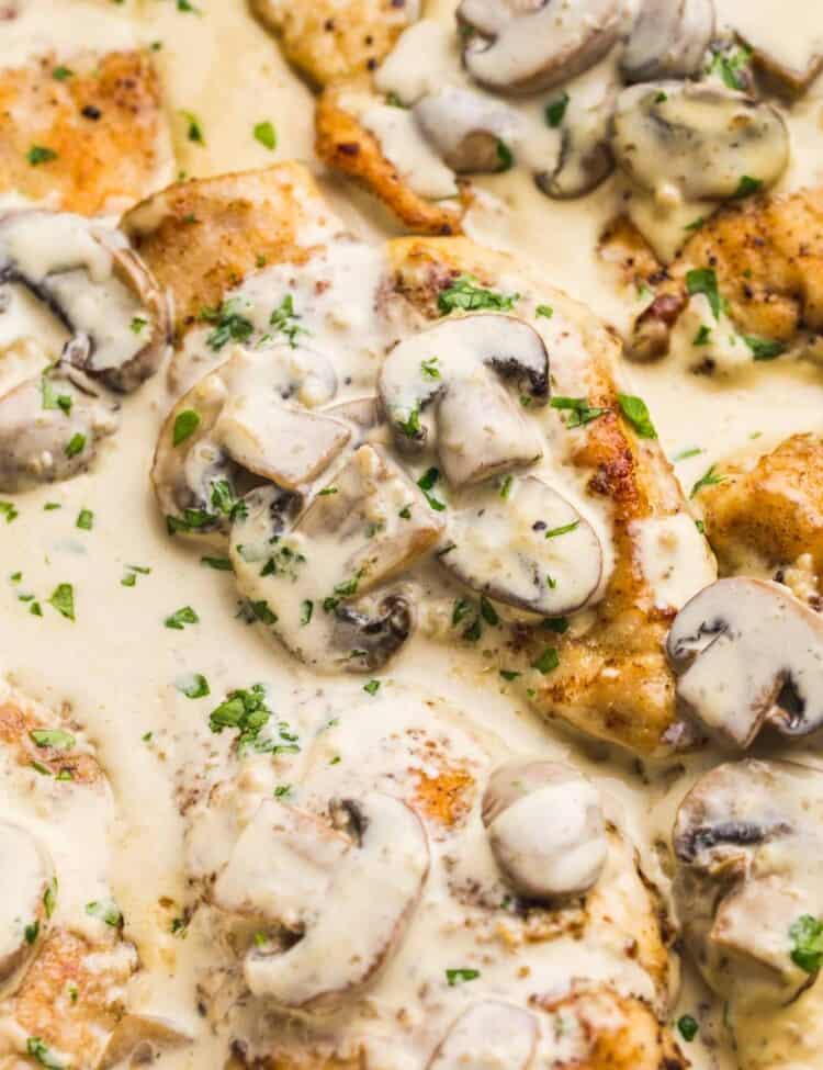 Close up shot of creamy mushroom chicken in a skillet garnished with parsley