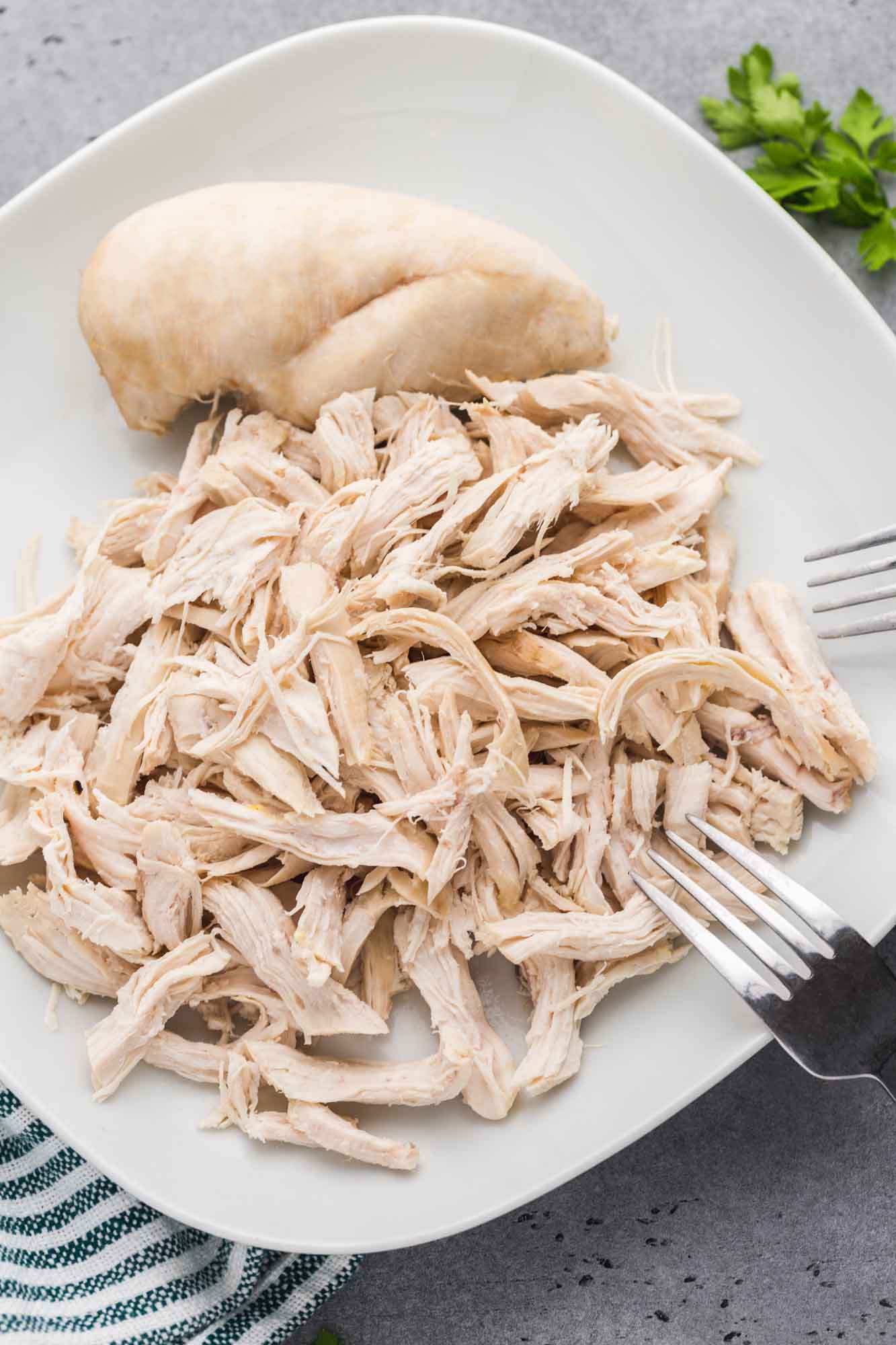 Shredded chicken breast on a white square plate with 2 forks