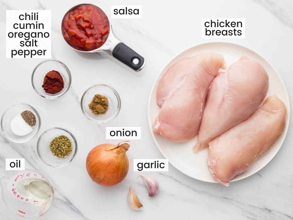 Ingredients needed to make shredded chicken tacos including chicken breasts, salsa, onion, garlic, and seasonings.