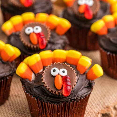 15 Easy Thanksgiving Cupcakes - Sparkling Boy Ideas