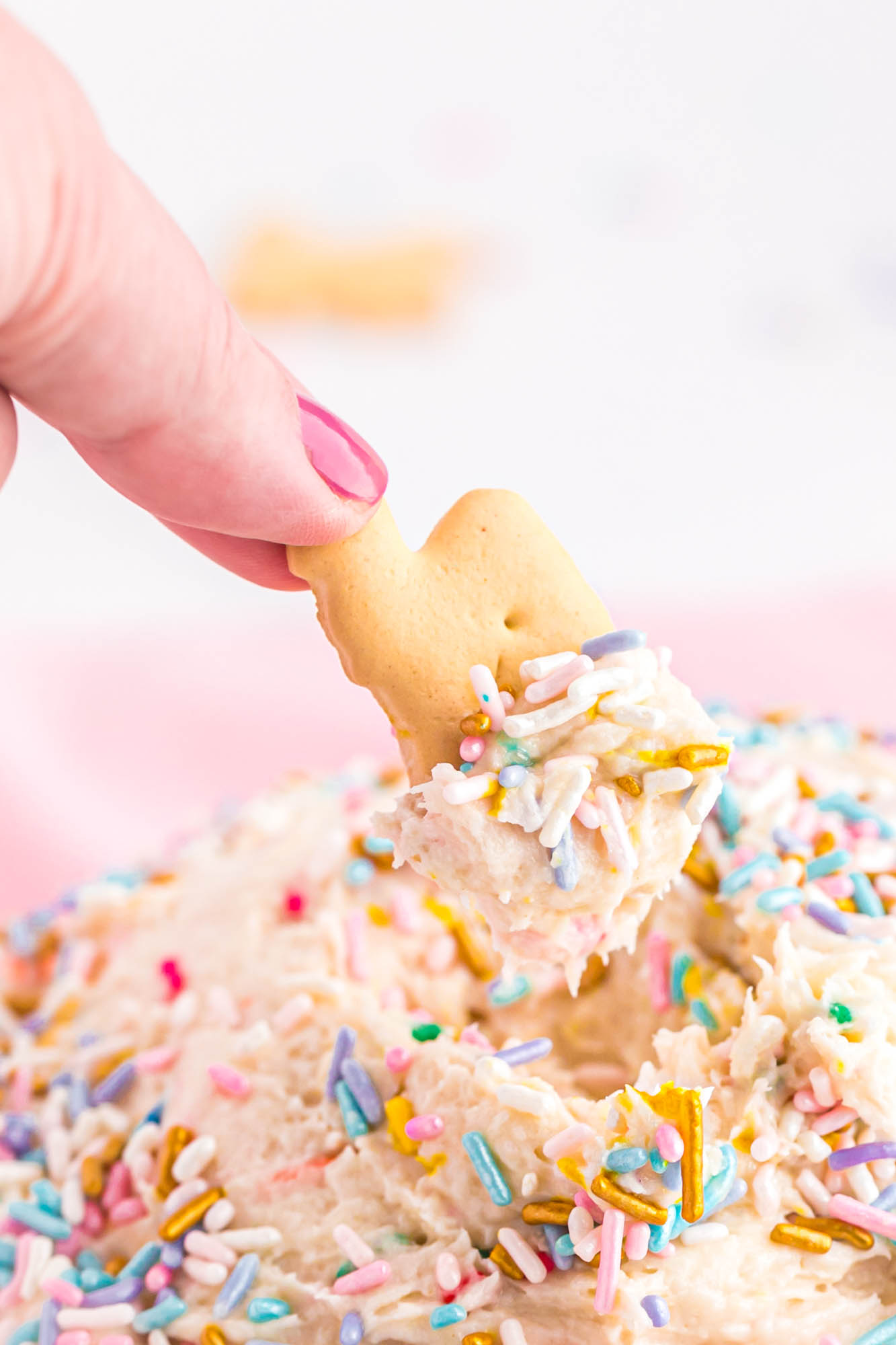 Dipping an animal cracker into the funfetti dip