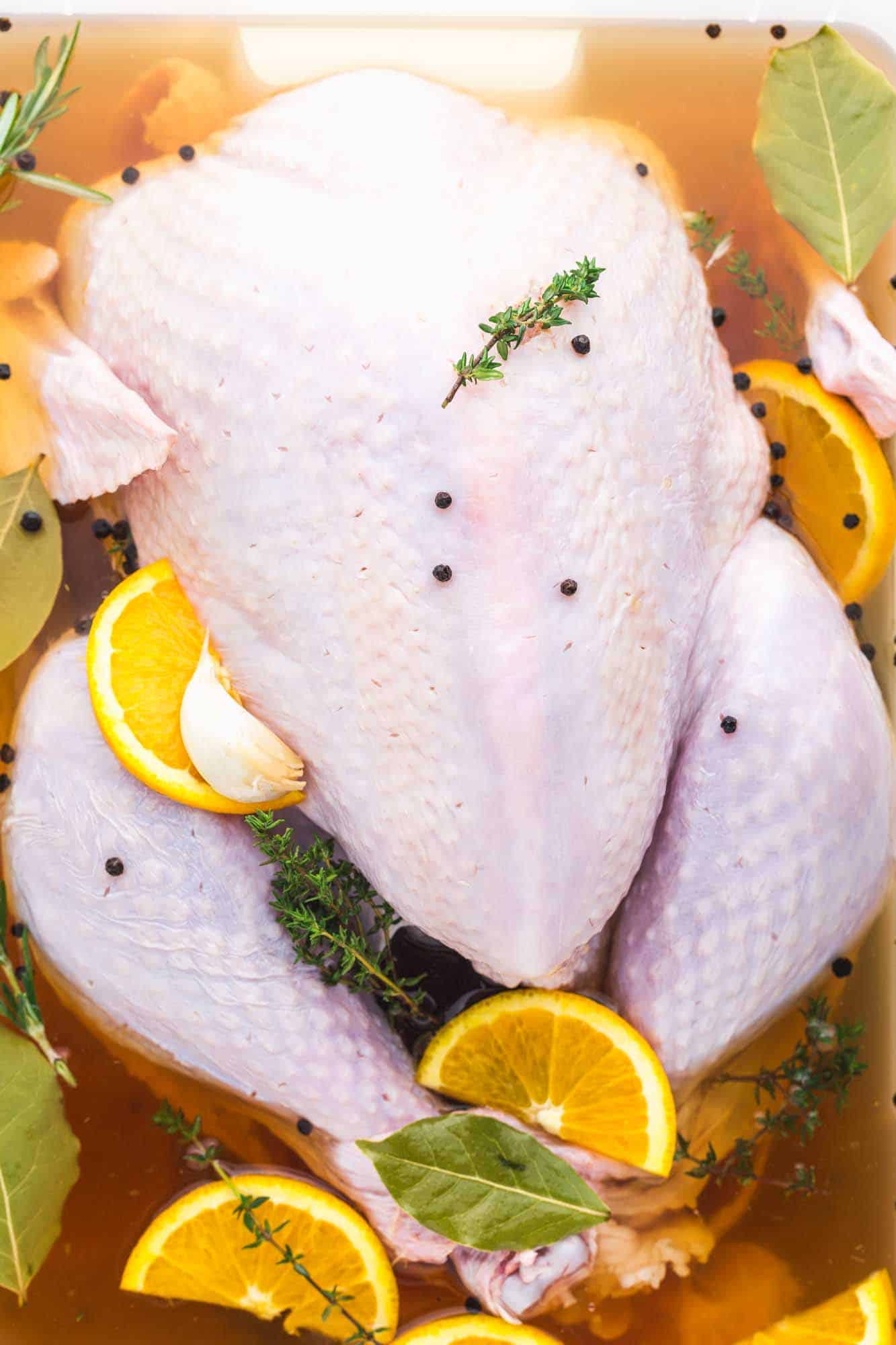 Raw turkey brined in liquid with orange slices, fresh herbs, and peppercorns.