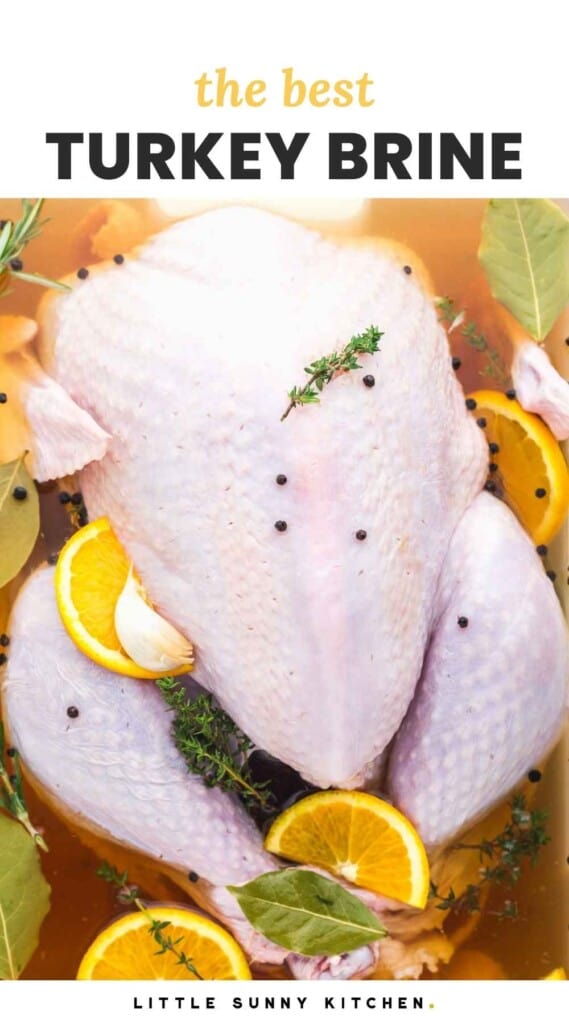 Raw turkey brined in liquid with orange slices, fresh herbs, and peppercorns. And overlay text that says "the best turkey brine"