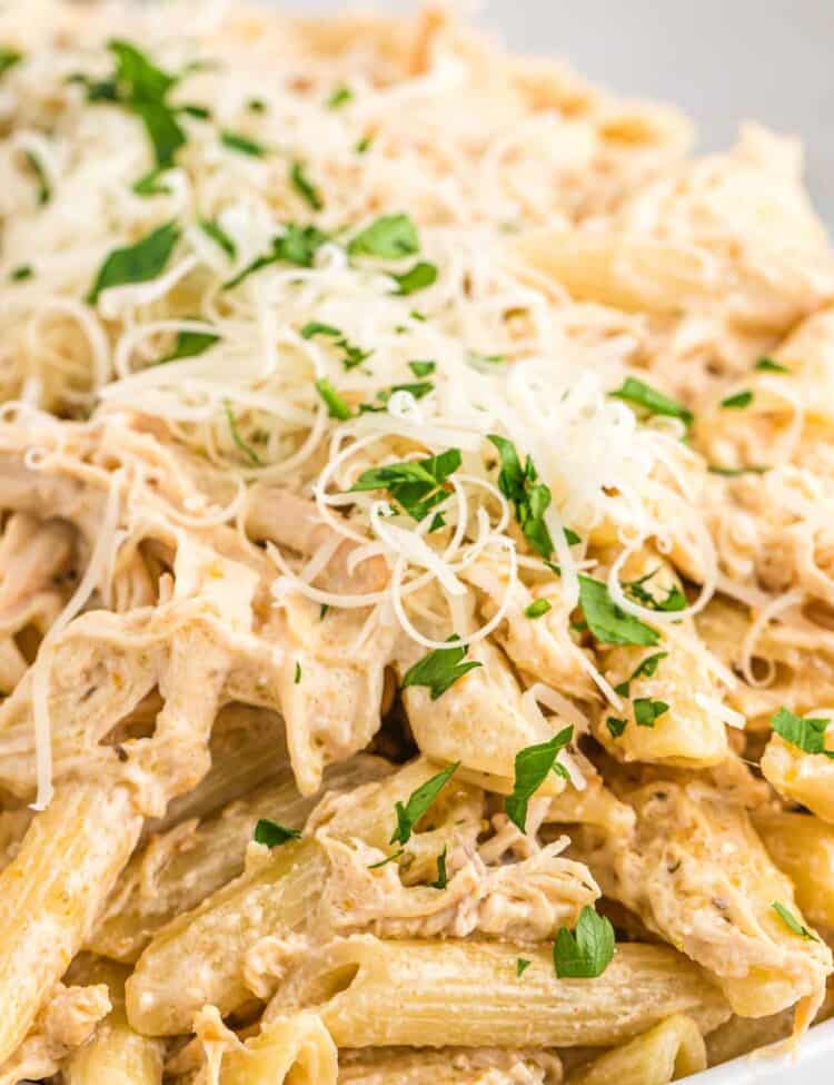 Close up shot of creamy chicken pasta with parmesan and parsley