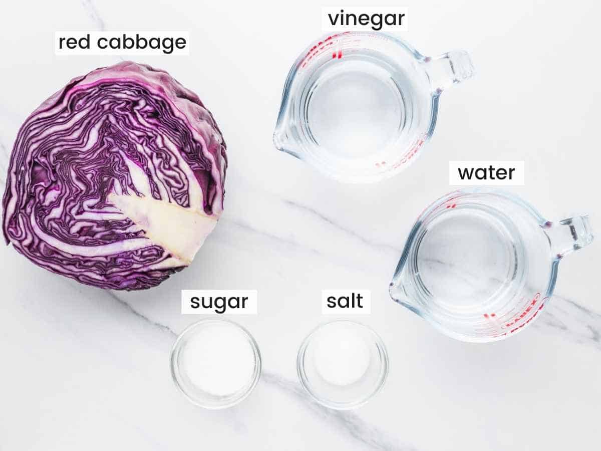 Ingredients needed to pickle red cabbage including red cabbage, vinegar, water, salt, and sugar.