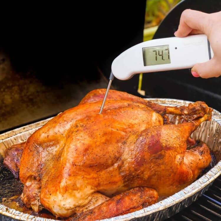 Probing a turkey with Thermapen ONE