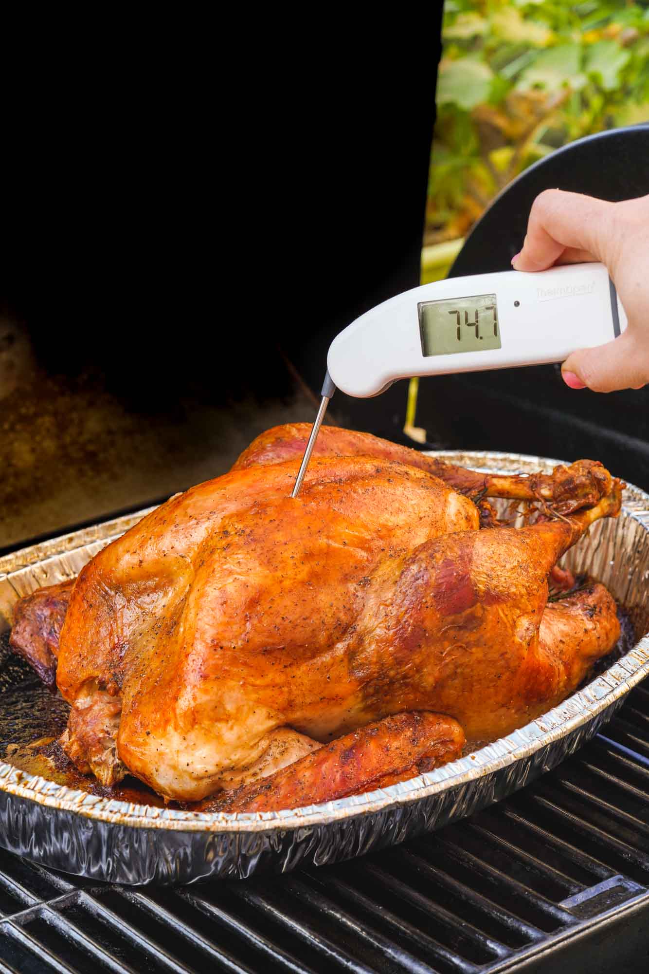 Probing a turkey with Thermapen ONE
