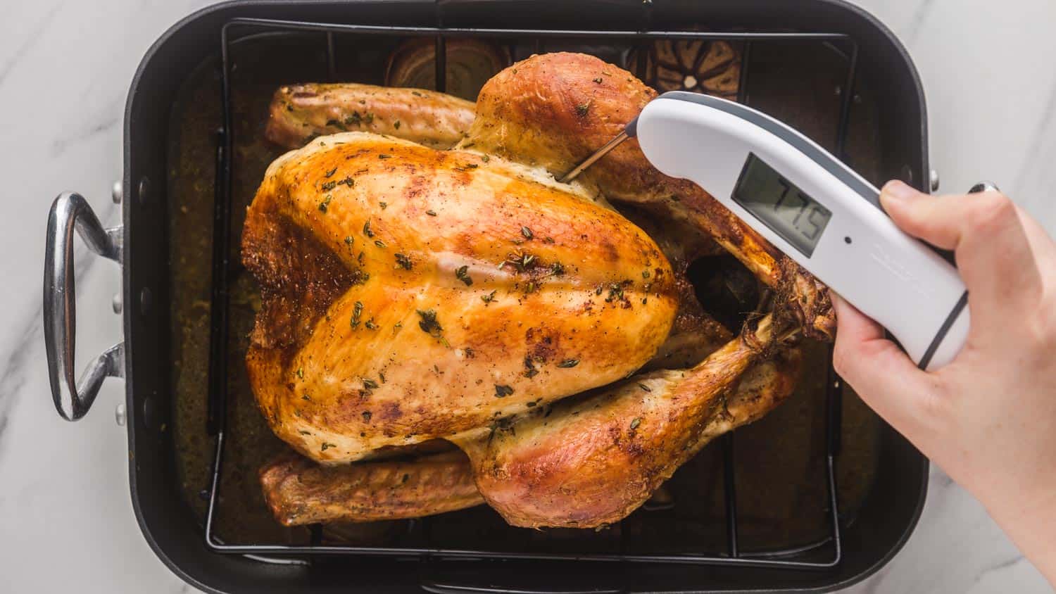Checking the temperature of the dark meat (turkey) with a Thermapen kitchen thermometer