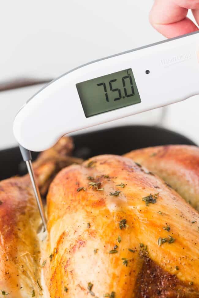 How to Use a Kitchen Thermometer Little Sunny Kitchen