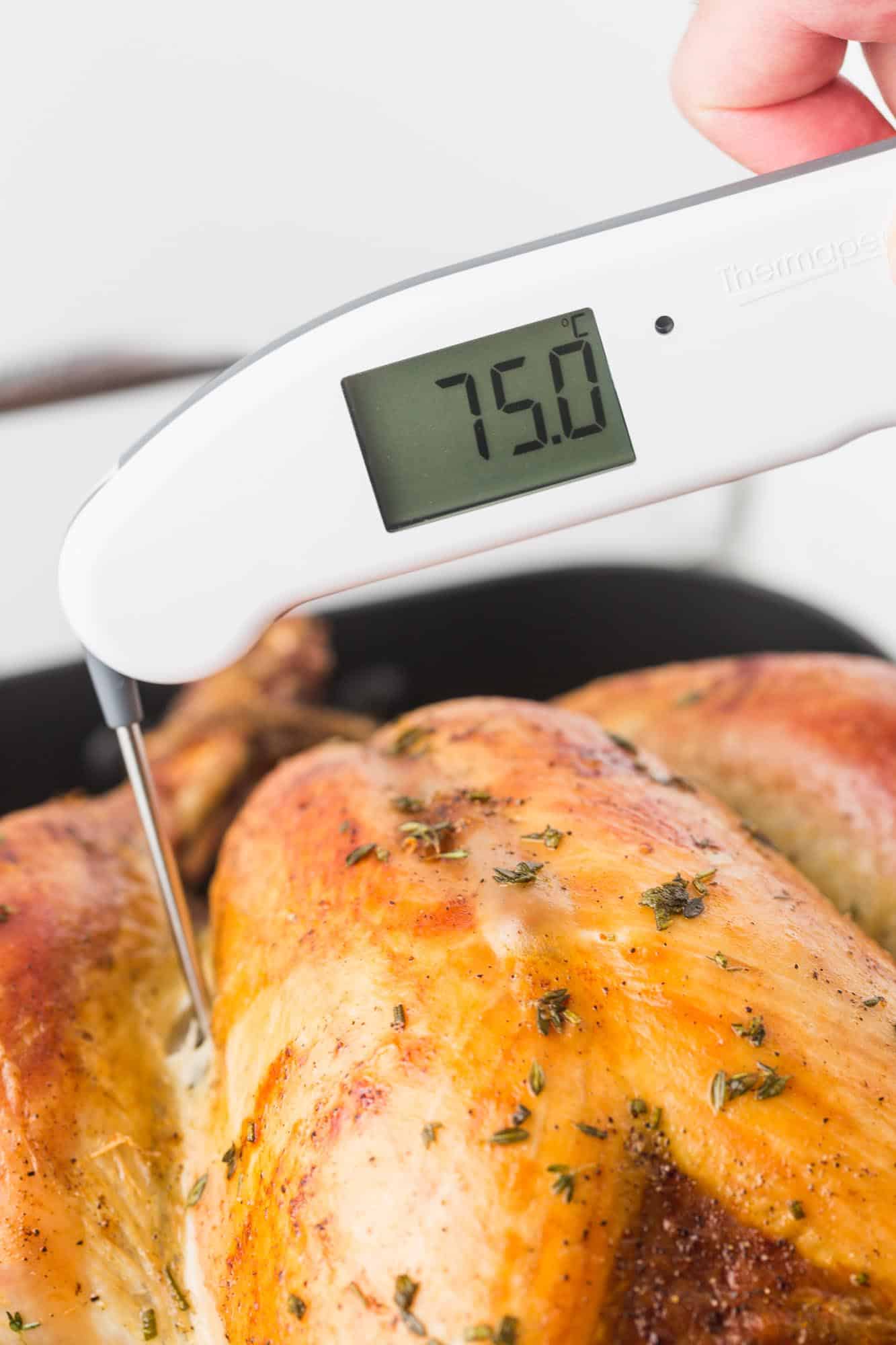 Probing a turkey with a Thermapen ONE