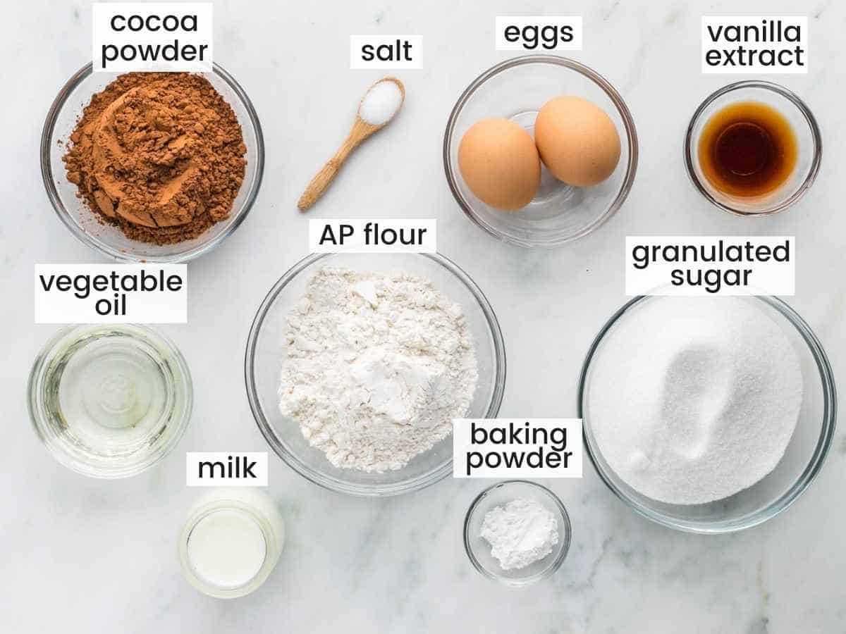 Ingredients needed to make chocolate cupcakes including flour, cocoa powder, eggs, milk, vegetable oil, sugar, baking powder, and salt.