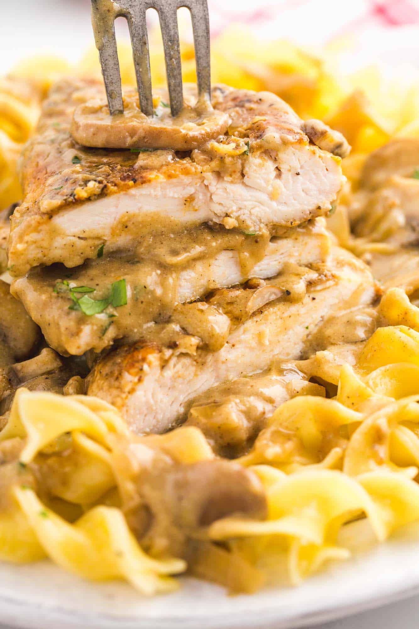 closeup of a plate of egg noodles and chicken cutlet stroganoff