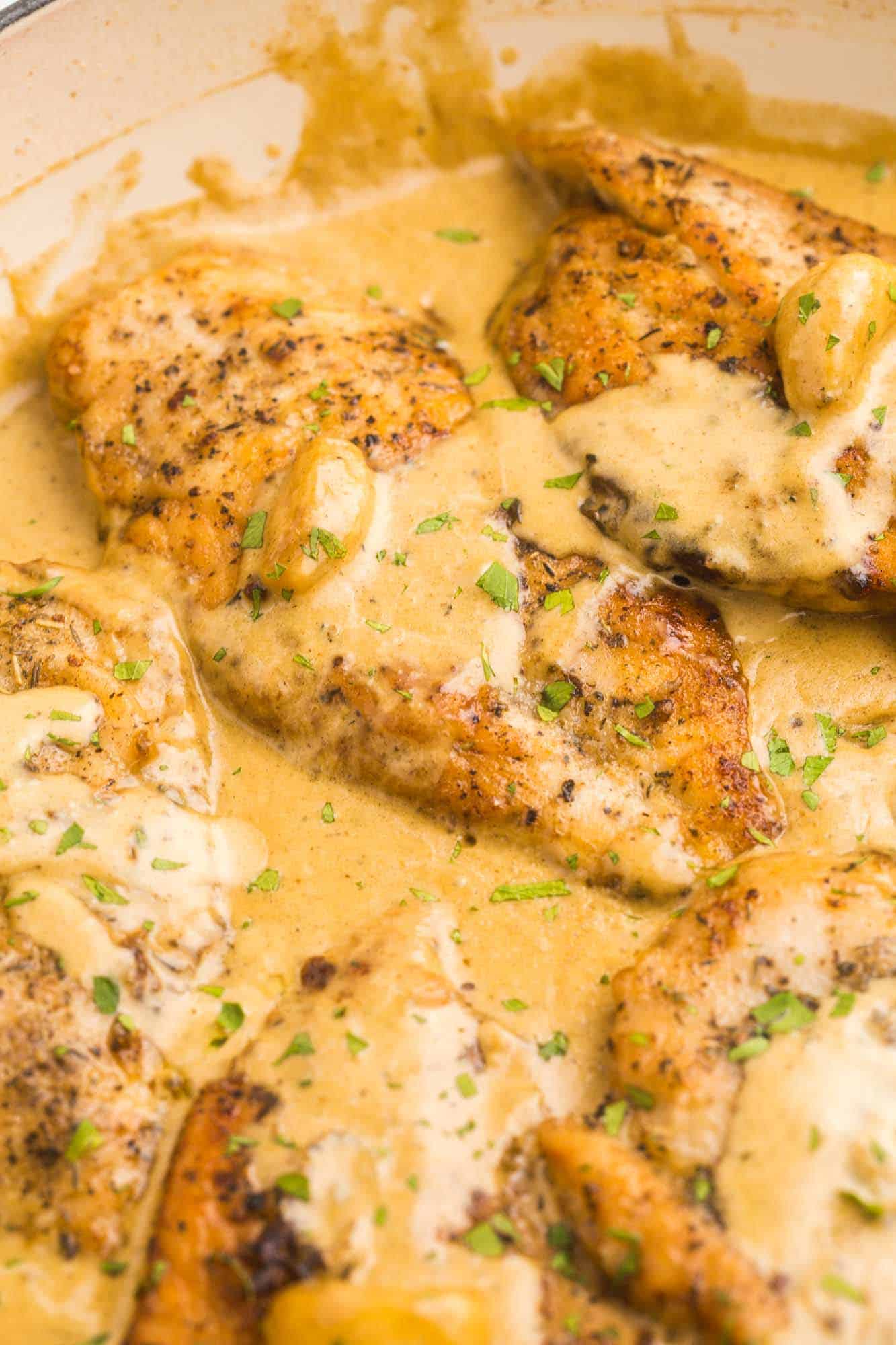 closeup view of creamy garlic chicken and sauce