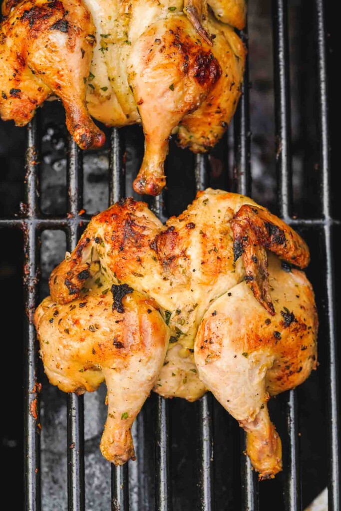 Overhead shot of 2 grilled butterflied cornish hens placed on the grill grates