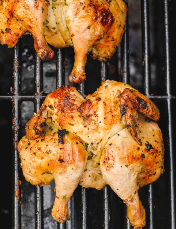 Overhead shot of 2 grilled butterflied cornish hens placed on the grill grates