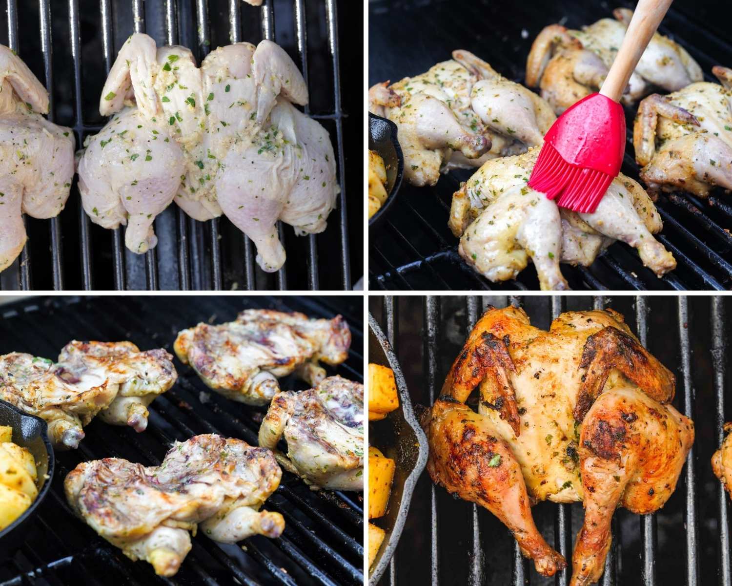 Collage of four images showing how to grill cornish hens