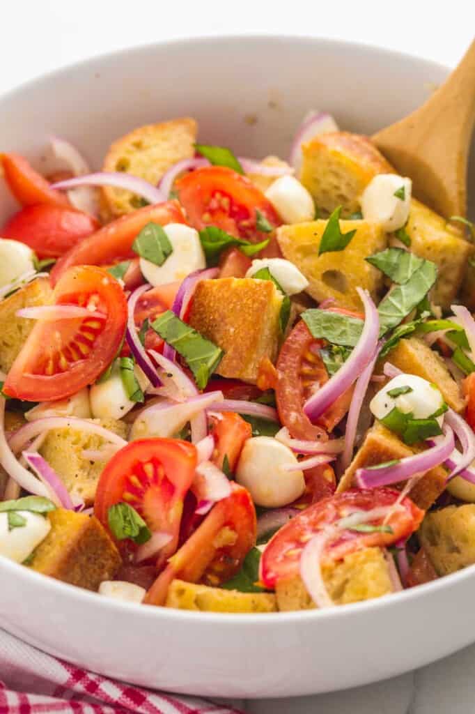 a large white ceramic bowl filled with panzanella salad of bread cubes, tomatoes, onions, herbs, and mozzarella cheese