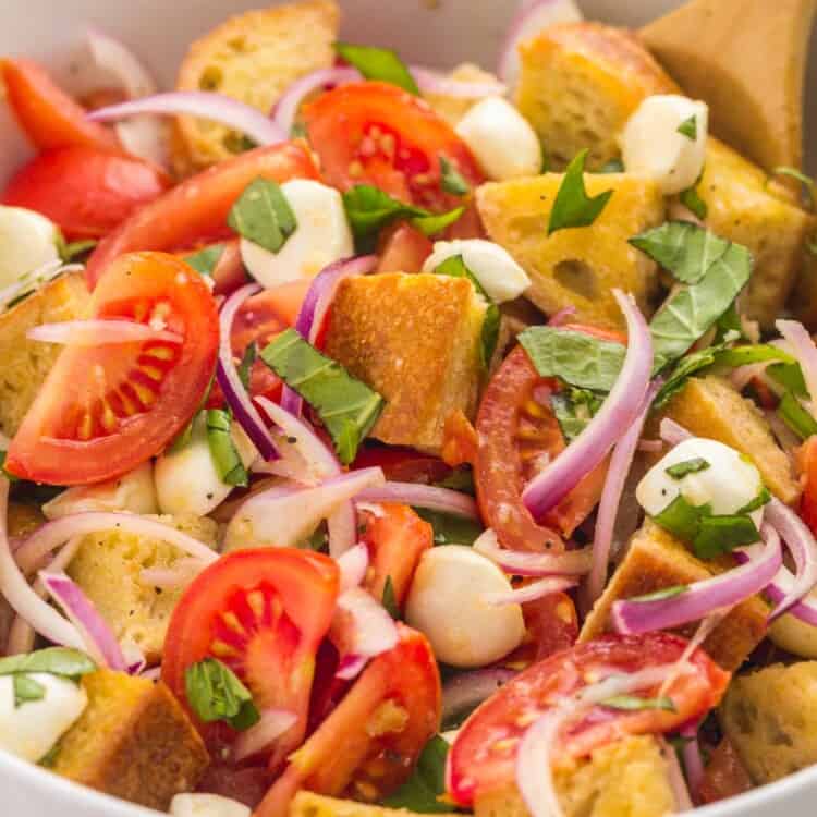 a large white ceramic bowl filled with panzanella salad of bread cubes, tomatoes, onions, herbs, and mozzarella cheese